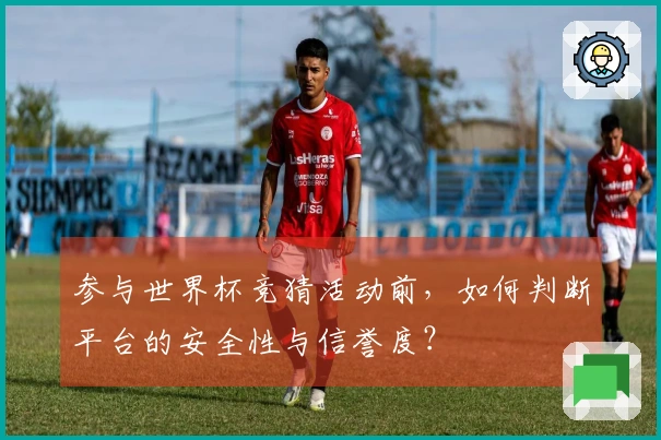 参与世界杯竞猜活动前，如何判断平台的安全性与信誉度？
