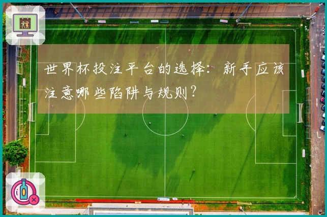 世界杯投注平台的选择：新手应该注意哪些陷阱与规则？