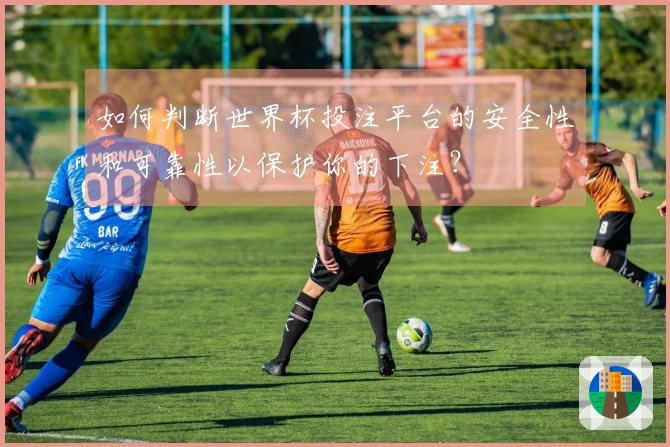 如何判断世界杯投注平台的安全性和可靠性以保护你的下注？