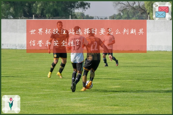 世界杯投注站选择时要怎么判断其信誉和安全性？