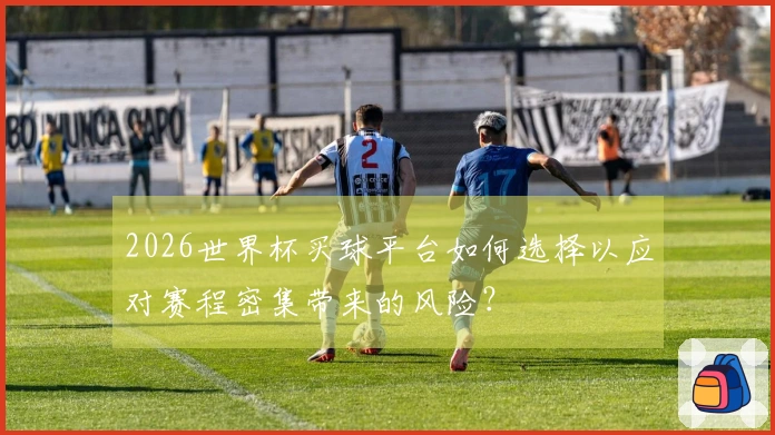 2026世界杯买球平台如何选择以应对赛程密集带来的风险？