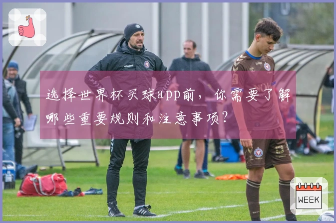选择世界杯买球app前，你需要了解哪些重要规则和注意事项？