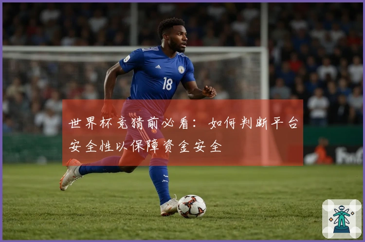 世界杯竞猜前必看：如何判断平台安全性以保障资金安全