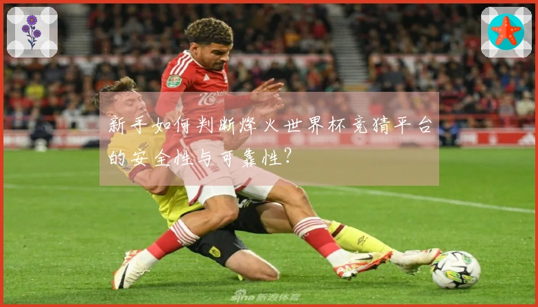 新手如何判断烽火世界杯竞猜平台的安全性与可靠性？