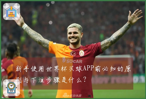新手使用世界杯买球APP前必知的原则与下注步骤是什么？