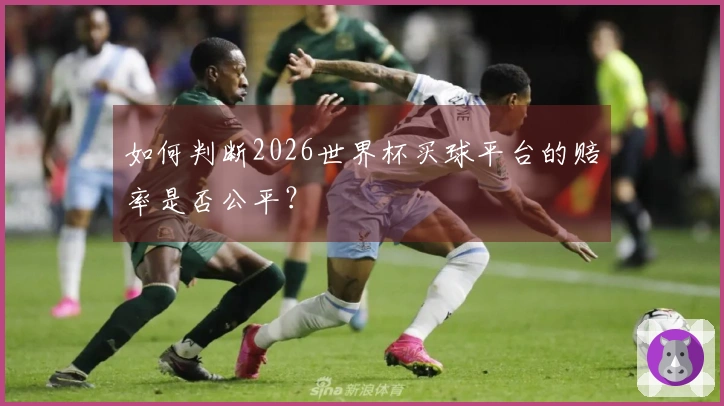 如何判断2026世界杯买球平台的赔率是否公平？