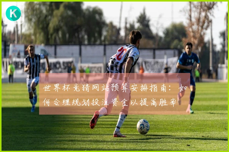 世界杯竞猜网站预算安排指南：如何合理规划投注资金以提高胜率