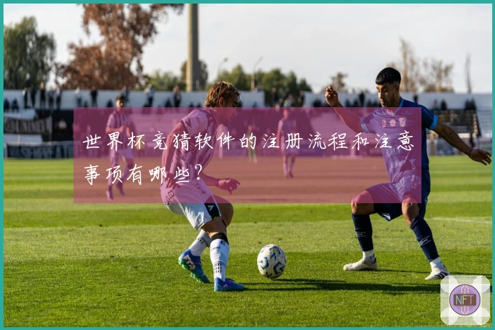 世界杯竞猜软件的注册流程和注意事项有哪些？