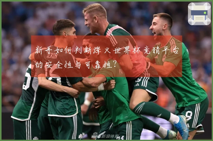 新手如何判断烽火世界杯竞猜平台的安全性与可靠性？