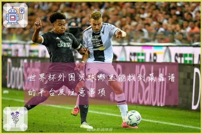 世界杯外围买球哪里能找到最靠谱的平台及注意事项