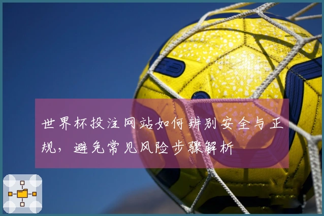 世界杯投注网站如何辨别安全与正规，避免常见风险步骤解析