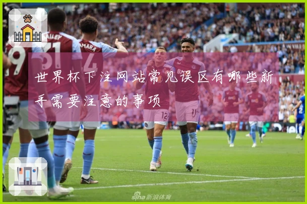 世界杯下注网站常见误区有哪些新手需要注意的事项