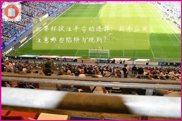 世界杯投注平台的选择：新手应该注意哪些陷阱与规则？