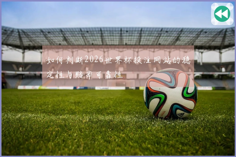 如何判断2026世界杯投注网站的稳定性与赔率可靠性