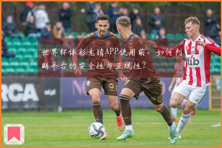世界杯体彩竞猜APP使用前，如何判断平台的安全性与正规性？