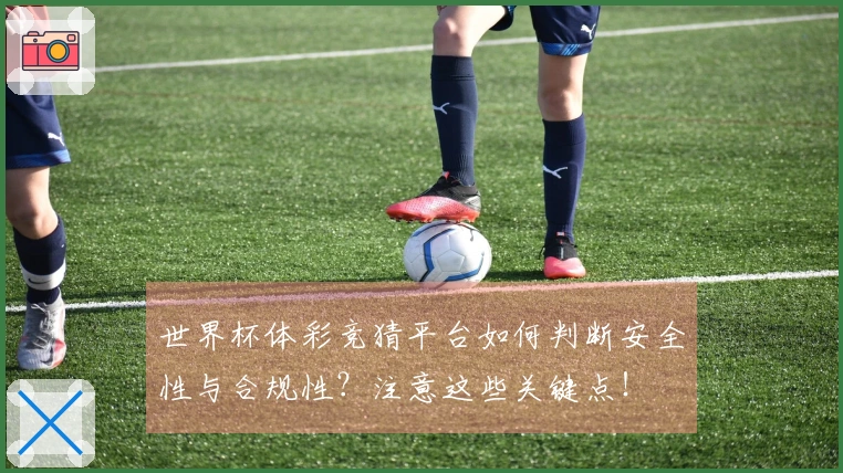 世界杯体彩竞猜平台如何判断安全性与合规性？注意这些关键点！