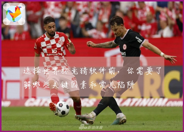 选择世界杯竞猜软件前，你需要了解哪些关键因素和常见陷阱