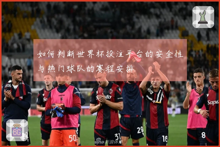 如何判断世界杯投注平台的安全性与热门球队的赛程安排