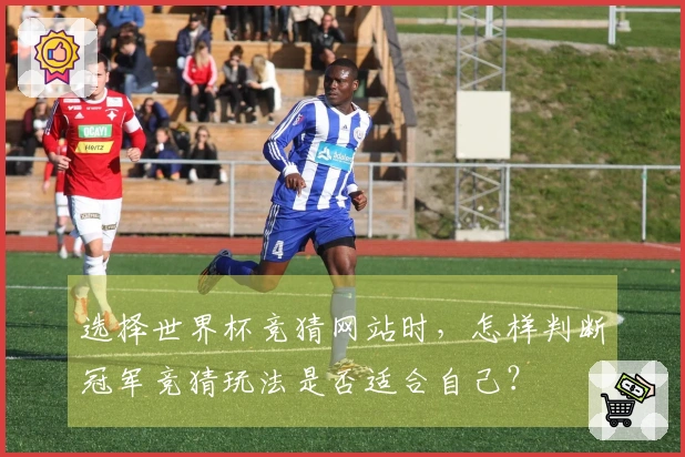 选择世界杯竞猜网站时，怎样判断冠军竞猜玩法是否适合自己？