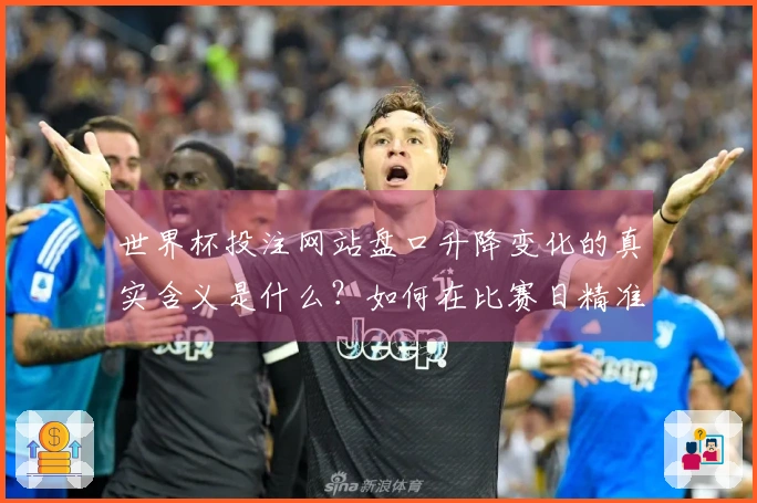 世界杯投注网站盘口升降变化的真实含义是什么？如何在比赛日精准解读？