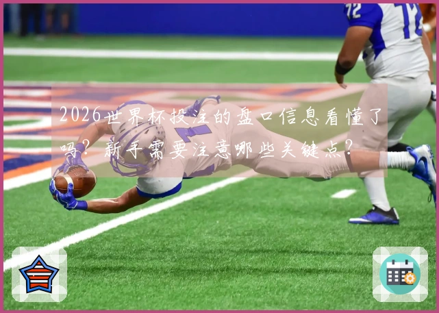 2026世界杯投注的盘口信息看懂了吗？新手需要注意哪些关键点？