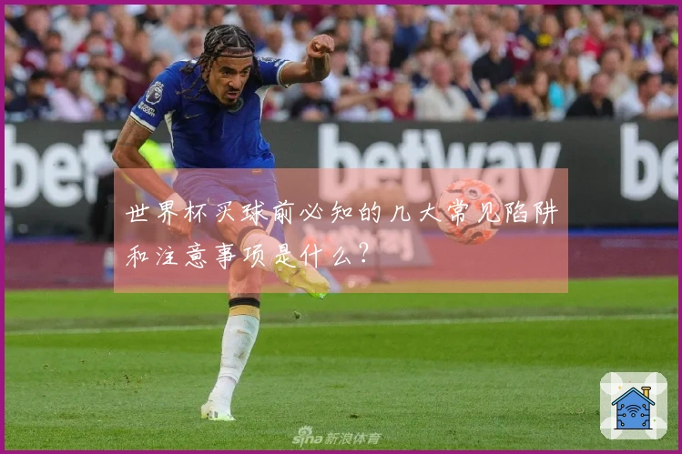 世界杯买球前必知的几大常见陷阱和注意事项是什么？