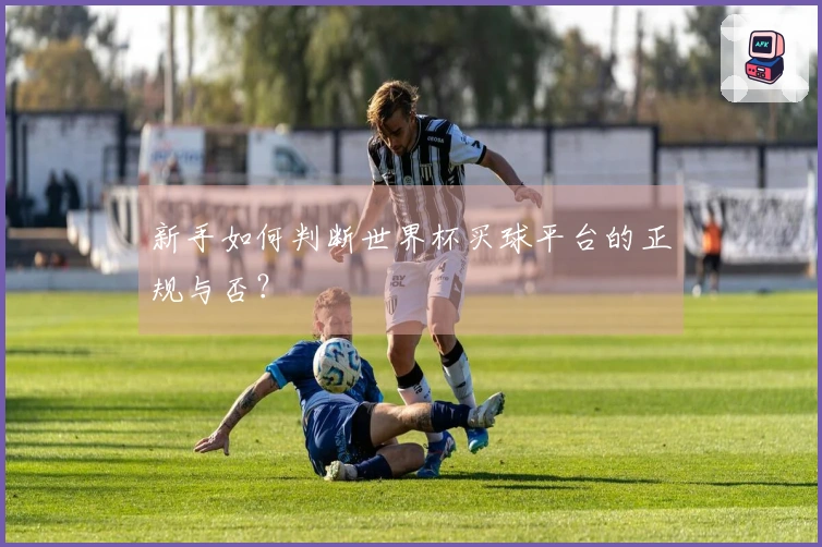 新手如何判断世界杯买球平台的正规与否？