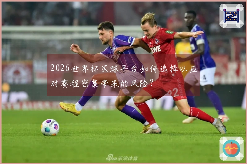 2026世界杯买球平台如何选择以应对赛程密集带来的风险？