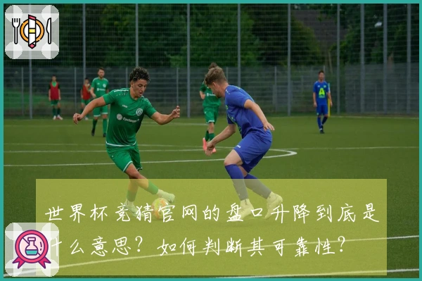 世界杯竞猜官网的盘口升降到底是什么意思？如何判断其可靠性？