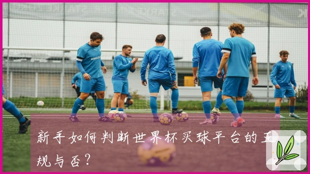 新手如何判断世界杯买球平台的正规与否？