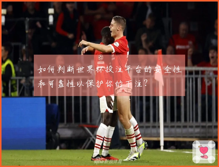 如何判断世界杯投注平台的安全性和可靠性以保护你的下注？