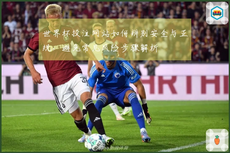 世界杯投注网站如何辨别安全与正规，避免常见风险步骤解析