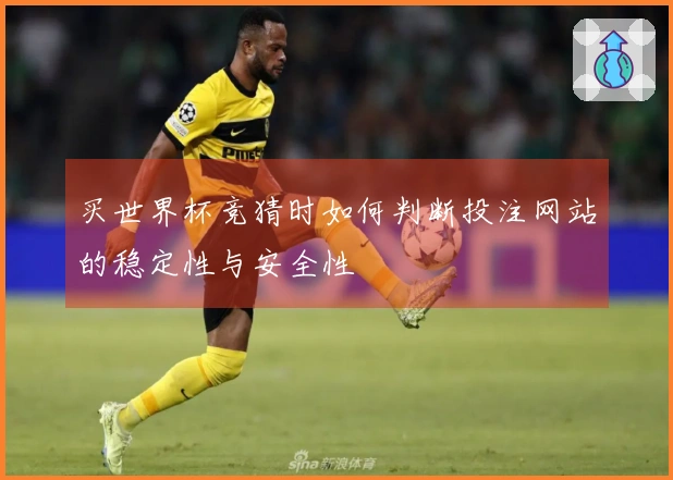 买世界杯竞猜时如何判断投注网站的稳定性与安全性