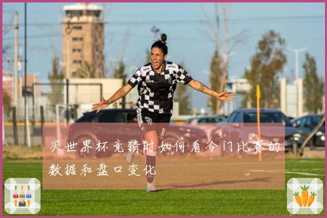 买世界杯竞猜时如何看冷门比赛的数据和盘口变化
