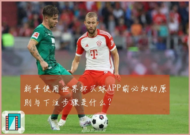 新手使用世界杯买球APP前必知的原则与下注步骤是什么？