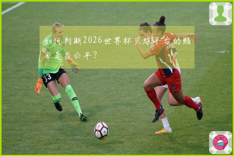 如何判断2026世界杯买球平台的赔率是否公平？
