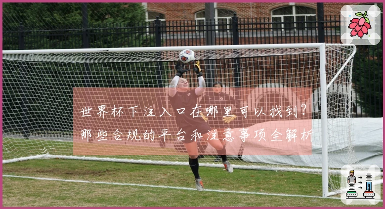 世界杯下注入口在哪里可以找到？那些合规的平台和注意事项全解析