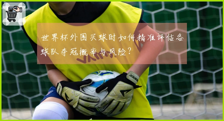 世界杯外围买球时如何精准评估各球队夺冠概率与风险？