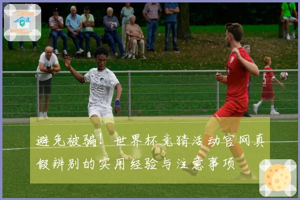 避免被骗！世界杯竞猜活动官网真假辨别的实用经验与注意事项