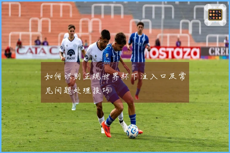 如何识别正规世界杯下注入口及常见问题处理技巧