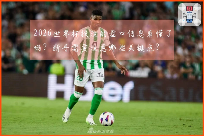 2026世界杯投注的盘口信息看懂了吗？新手需要注意哪些关键点？